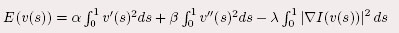 contours actifs