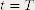 t=T